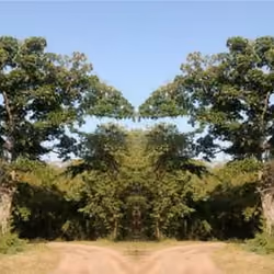 2 ways