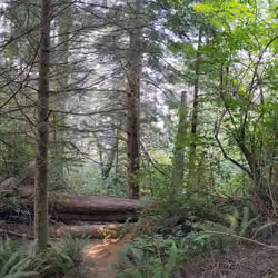 Nature Panorama #48