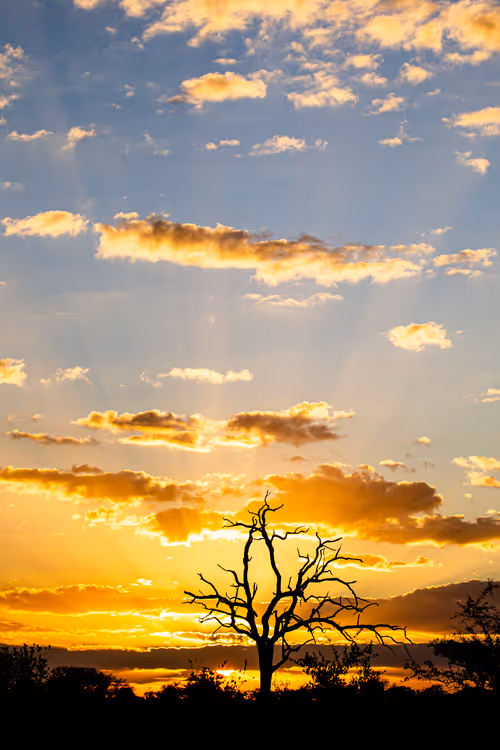 Item #7541061549894864195156407878226049609919453325507496884230064738446646181889 Media