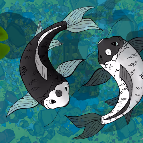 Untitled Collection #16877139