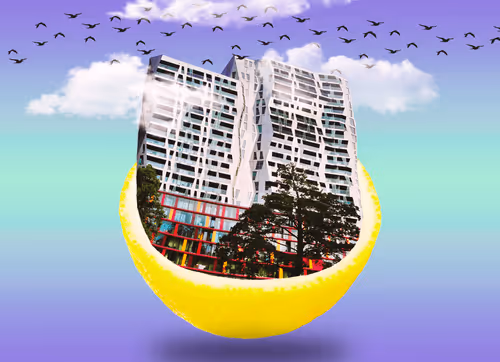 Land of fruits