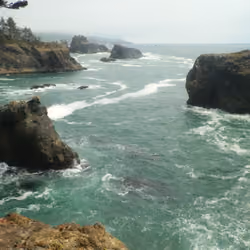 goliaths of the coast