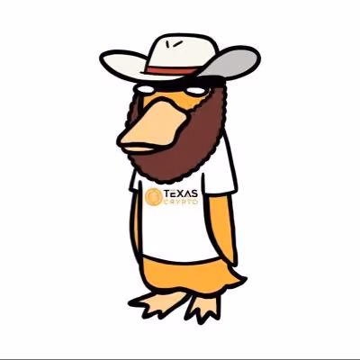 Texas Crypto Wassie