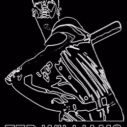Crypto Ted Williams #176