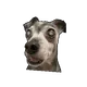 69719517662966666831394985965641744197296345831379518479970315635897615253509