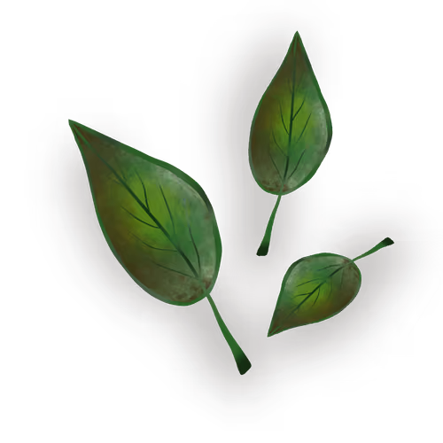 leaves 3