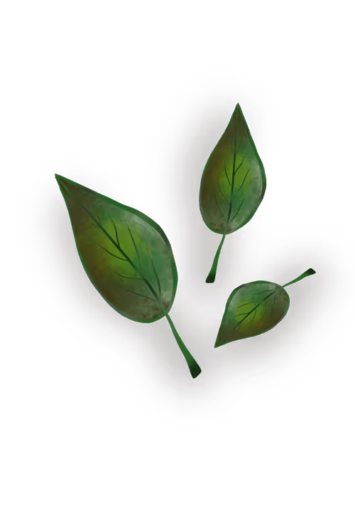 Item #84095843279643989357089024802437267244550491417541544316462293914561156218881 Media