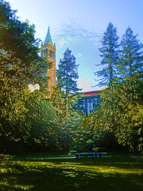 Item #14120167681087804550731026879842480313099861201806338049558786570596537860097 Media