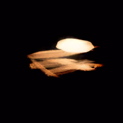 Ross Bleckner Crypto Flare #32