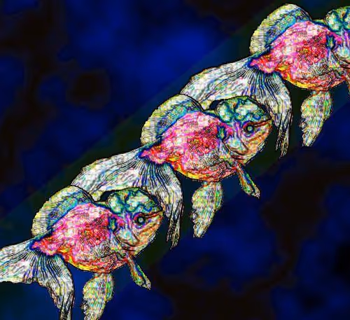 17097077129018536031525372340810210756092446357988612830833684285360890183681