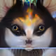 11885240181230520097782977326123730253612899626990601655867693156546300084324
