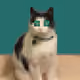 65571872799046135003554640858352601373081711449329038154980621287287232135169