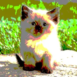 23538819986925566434507765811444276093104658907602947149672917374593765736449