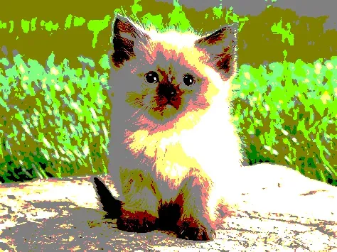 23538819986925566434507765811444276093104658907602947149672917374593765736449