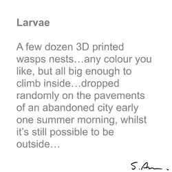 Larvae