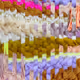 105924481646022104202360070584304427471274117198947275796894307151234157510657