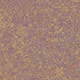 49854274785408344568665263832009906927354205493876283675205178848274429247489