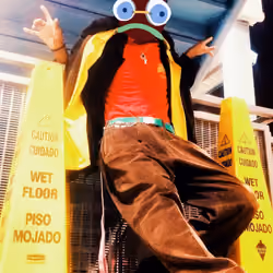 Fly Things