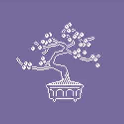bonsai #5