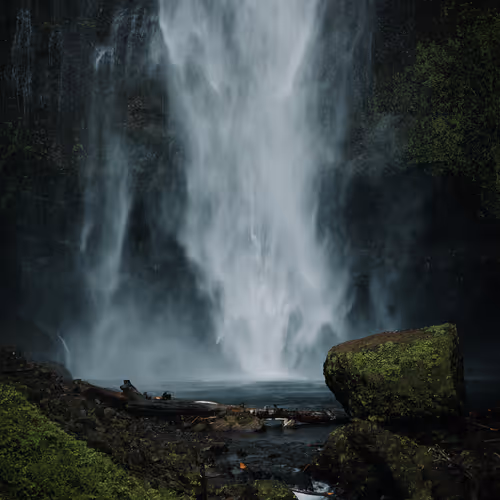 stevenfoster Collection