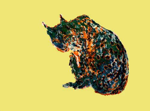 erikaseywald Collection - old V3