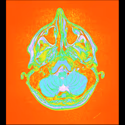 64162533542198579898252916190583583845604629893829087458582975730399343280129