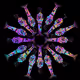 11004239870269201642337490365757428976899283070519031621893206659565768146945