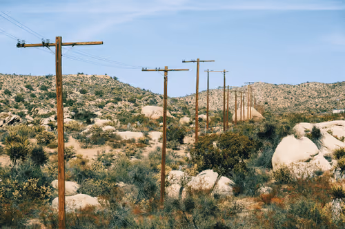 Item #1477567608042929161133967300904577015789959353209458872969039456908439715841 Media