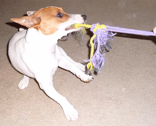 Item #5985210497355107417265215381210579199842884272282595265964883408911423504385 Media