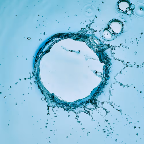 Item #46489901761508154690977052556102681350934379687164571149816291763473747017729 Media