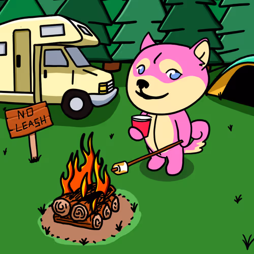Dogepalooza Camp 006