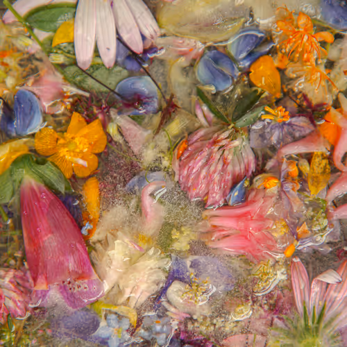 Item #80829721372825377784010953381890255518558028243098186913878117638803734659073 Media