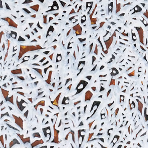 Item #6135615210838207181460231726623395431657623942646172617288677115299520053249 Media