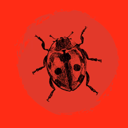 Item #79067907305230177002014129353343413869651970885450883453575323028556362022913 Media