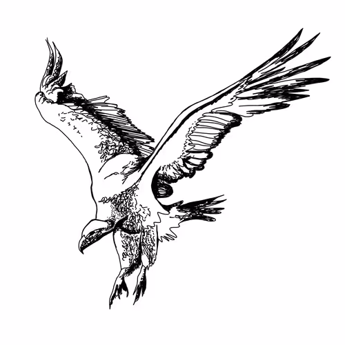 Item #2193413964396688017519545014039079487977398058992088711471590565325593116673 Media