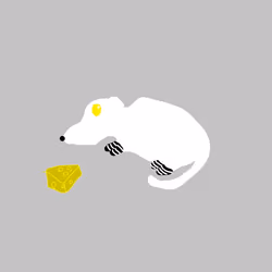 Ratku #49
