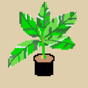 Item #37744830918728198936289804313030821195574011939093233888448221616259182100481 Media