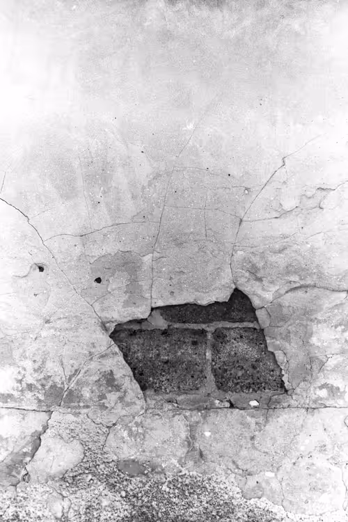 Item #95963115325190495901462437198116018062691407586283509903332718966206214701057 Media