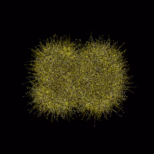 Item #31186271462743839332083495437684930572283654238385709344730710931119823388673 Media