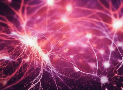 Item #98695163844141812296559601516468632585703412525772017875852753070247368458241 Media