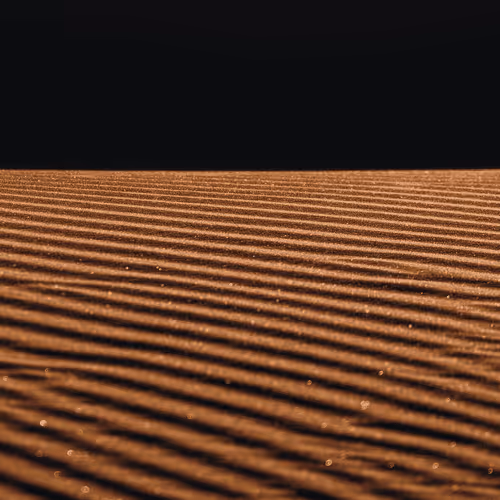 Dune: The Collection