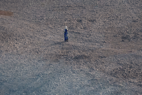 Item #36486330599558234192948007262260679931493432277950452627377023256396562432001 Media