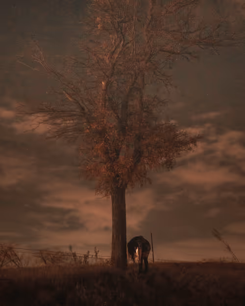 Item #32827042511948826872324468715396382654491318328584451674488605465606600261633 Media