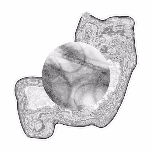 Item #87495691051819618160782043165871758120745529937108859909899536911148641157121 Media