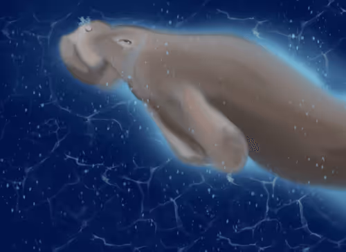 Untitled Collection #18794573