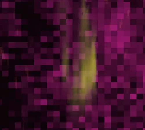 Item #111322792909298852082996229947322964399902310277186490851962414087726742634497 Media