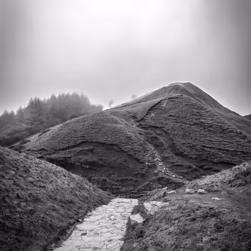 No Wonder - an $ASH photography project