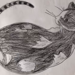 Cat DoodleToken
