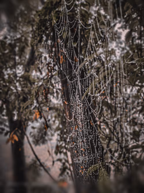 Item #21702286341688176081269265906063305008497731098328083749307492630974861148161 Media