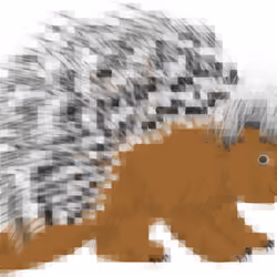 SpinPixel